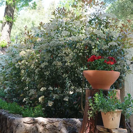 Magia Villa