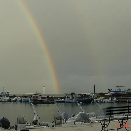 Magia 입소스
