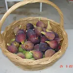 Villa Magia