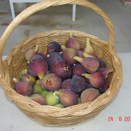 Vilă Magia